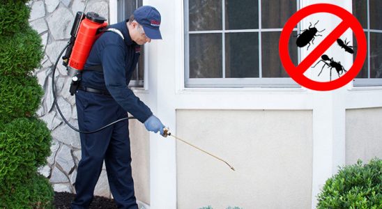 Köşk Böcek ve Haşere İlaçlama böcek ilaçlama ve haşere kontrolü — ilaclama-tr.com
